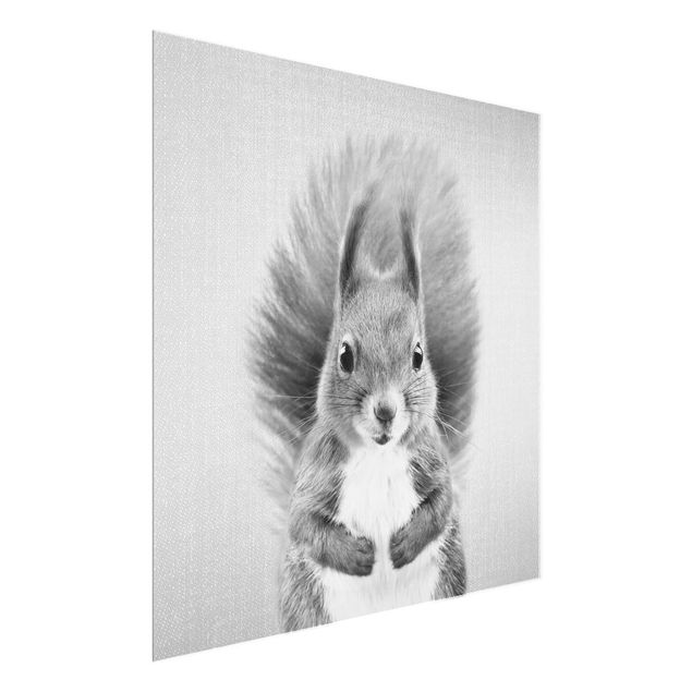 Glasbilder Tiere Eichhörnchen Elisabeth Schwarz Weiß