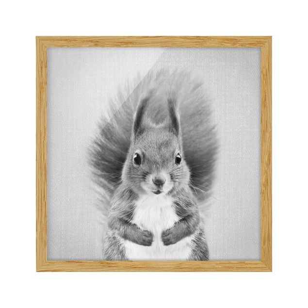 Bild mit Rahmen - Eichhörnchen Elisabeth Schwarz Weiß - Quadrat - 1:1