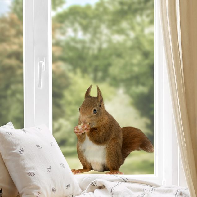 Fenstersticker Tiere Eichhörnchen
