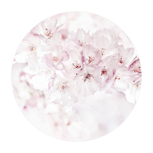 Teppich Natur Ein Kirschblütenhauch