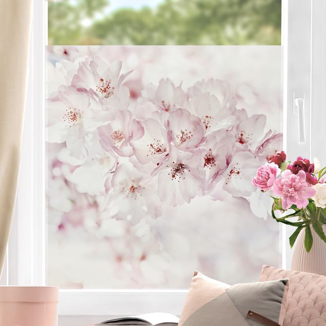 Blumen Fensterbilder Ein Kirschblütenhauch