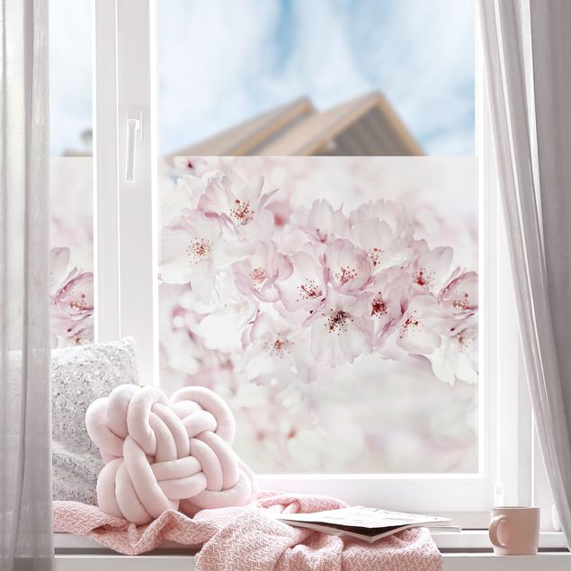 Fensterfolie Gräser Ein Kirschblütenhauch