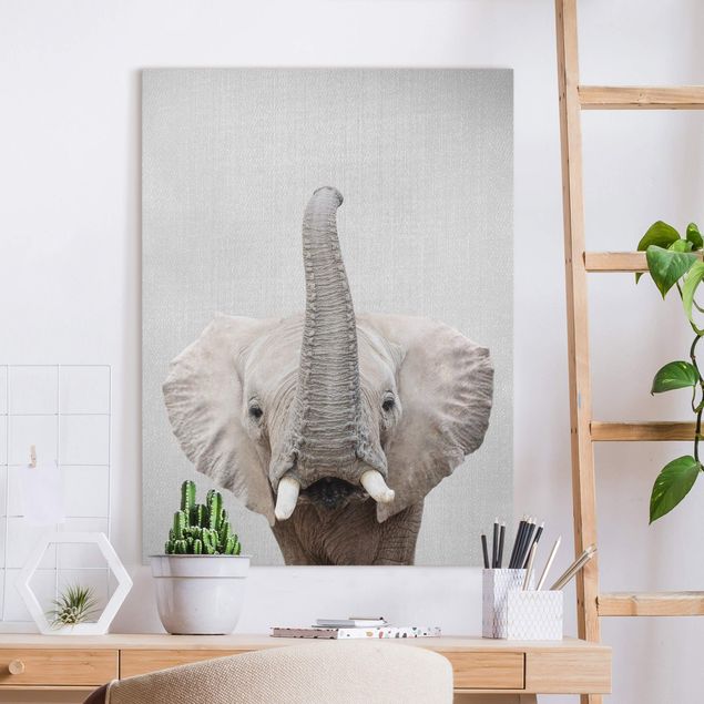 Wandbilder XXL Elefant Ewald