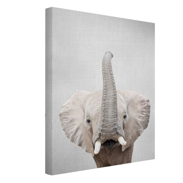 Leinwandbilder Schwarz-Weiß Elefant Ewald