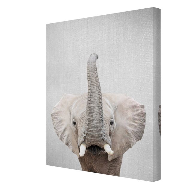 Wandbilder Wohnzimmer modern Elefant Ewald