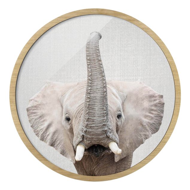 Wandbilder mit Rahmen Elefant Ewald