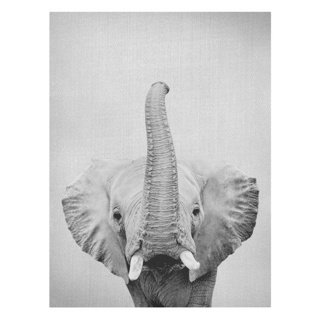 Tierbilder auf Leinwand Elefant Ewald Schwarz Weiß