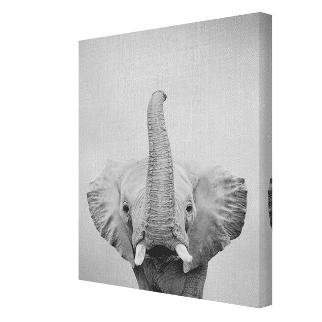 Moderne Leinwandbilder Wohnzimmer Elefant Ewald Schwarz Weiß