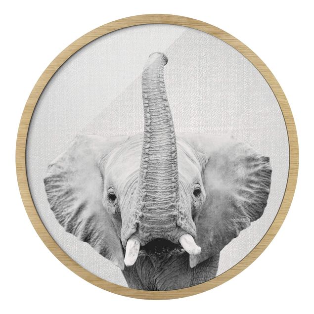 Wandbilder mit Rahmen Elefant Ewald Schwarz Weiß