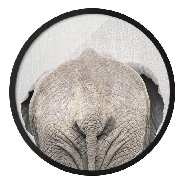 Bilder mit Rahmen Elefant von hinten