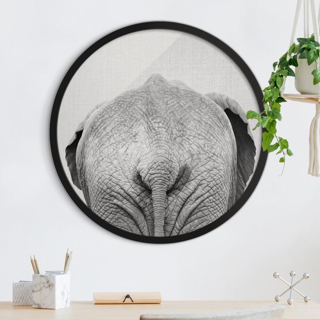 Runde Bilder Elefant von hinten Schwarz Weiß