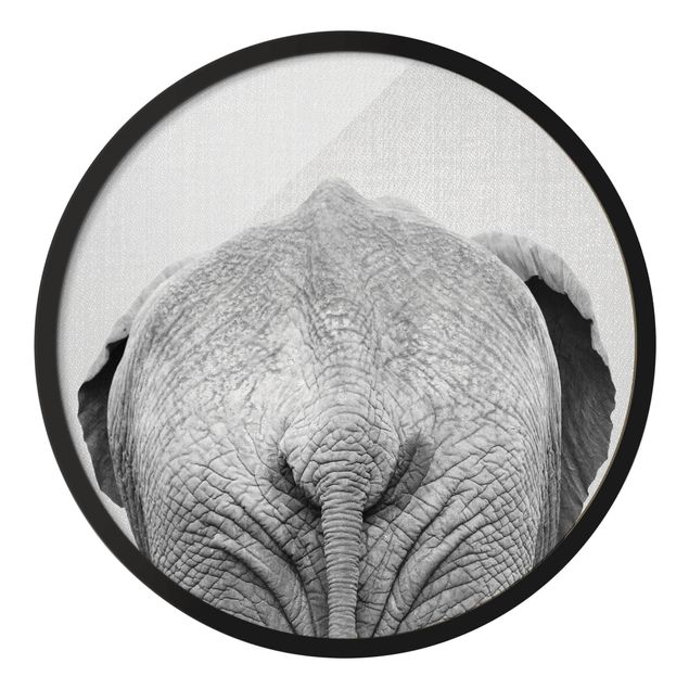 Bilder mit Rahmen Elefant von hinten Schwarz Weiß