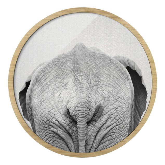 Bilder mit Rahmen Elefant von hinten Schwarz Weiß