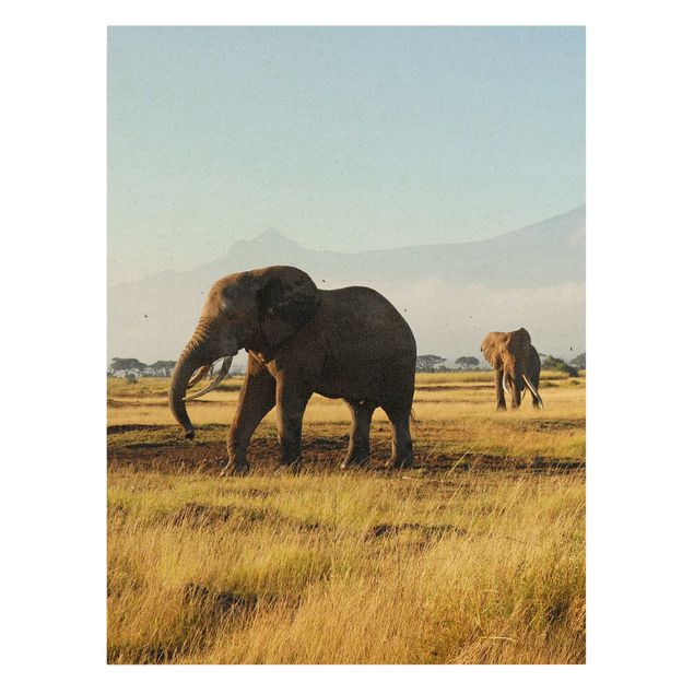 Tierbilder auf Leinwand Elefanten vor dem Kilimanjaro in Kenya