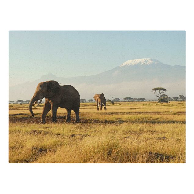 Leinwandbilder Tier Elefanten vor dem Kilimanjaro in Kenya