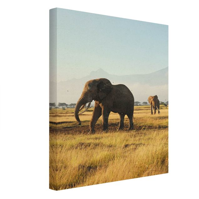 Moderne Leinwandbilder Wohnzimmer Elefanten vor dem Kilimanjaro in Kenya