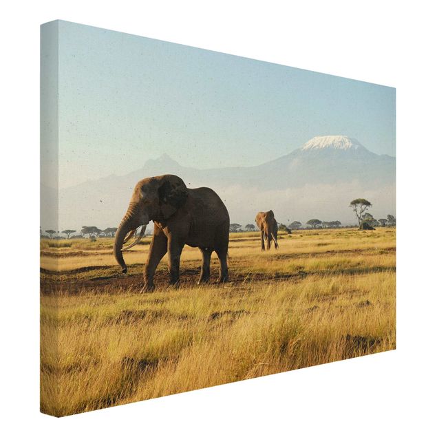 Leinwandbilder Wohnzimmer modern Elefanten vor dem Kilimanjaro in Kenya
