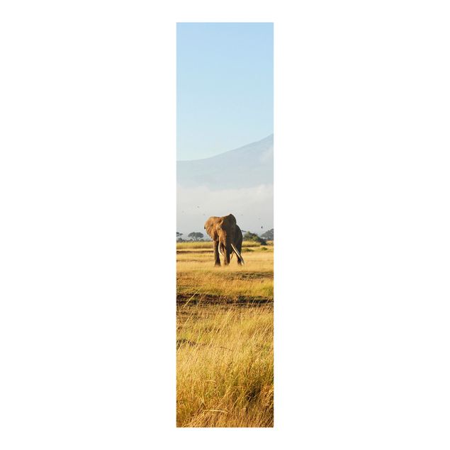 Schiebegardinen 3er Set Elefanten vor dem Kilimanjaro in Kenya