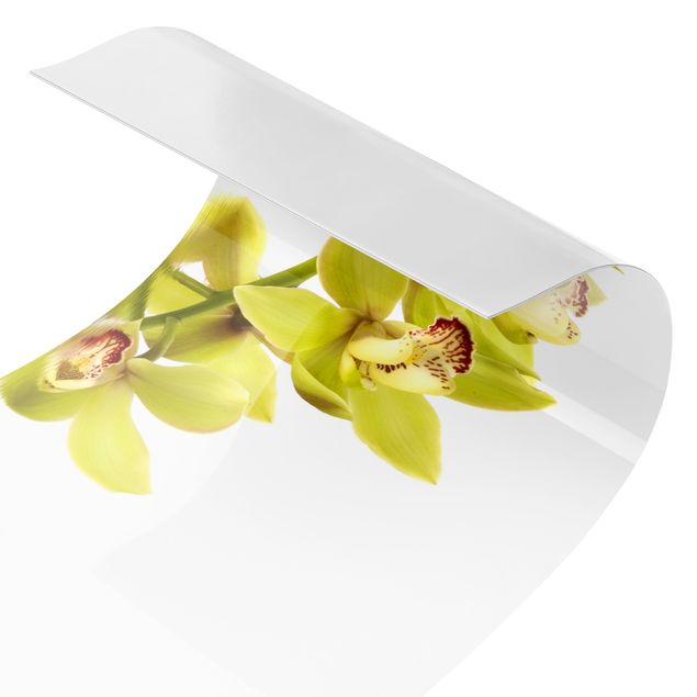 Spritzschutz Küche Elegant Orchid Waters