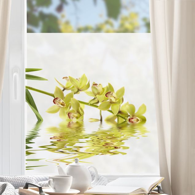 Blumen Fensterbilder Elegant Orchid Waters