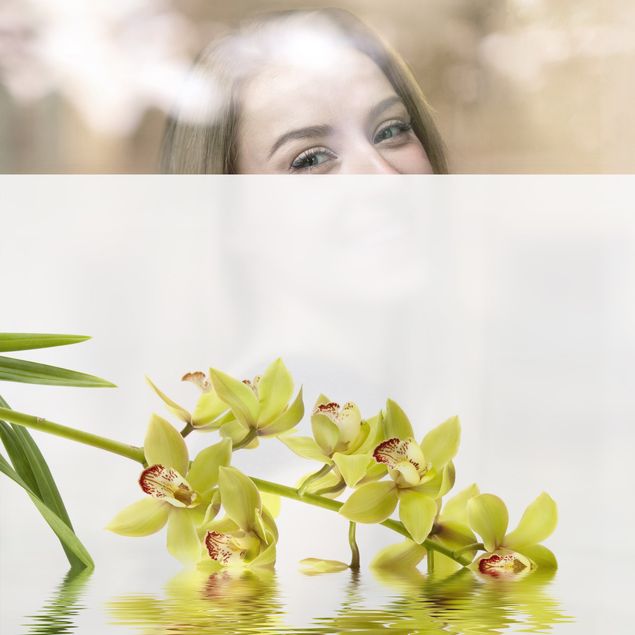 Fensterbilder Weiß Elegant Orchid Waters