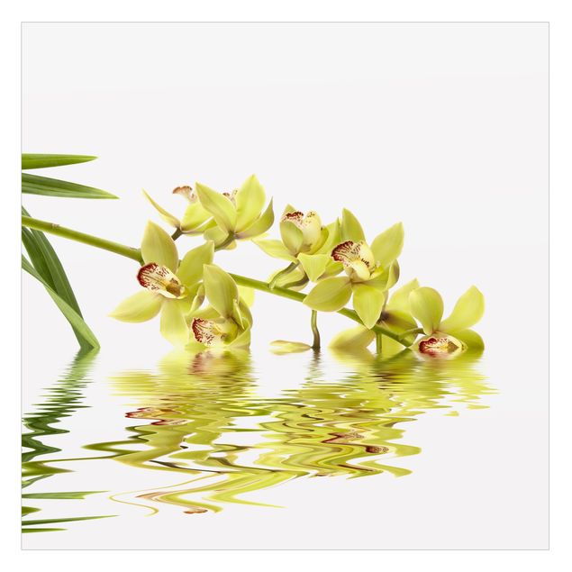 Fensterbilder XXL Elegant Orchid Waters