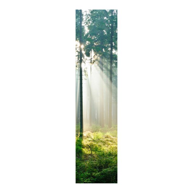 Schiebegardinen mit Motiv 3-teilig Enlightened Forest