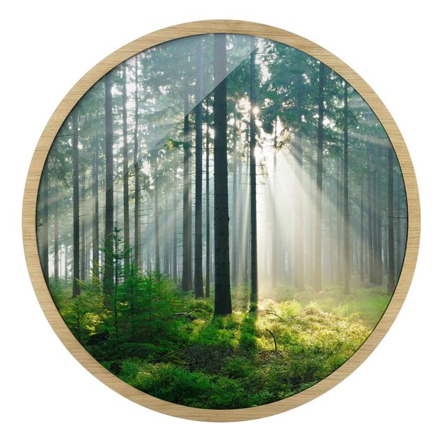 Bilder mit Rahmen Enlightened Forest