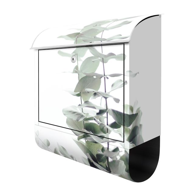Briefkasten Design Eukalyptus im Weißen Licht