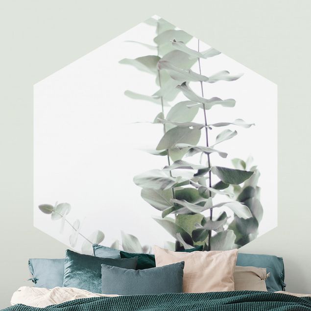 Fototapete Blumen Eukalyptus im Weißen Licht