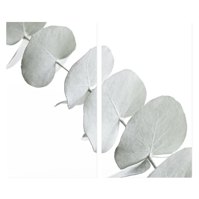 Herdabdeckplatte Glas - Eukalyptuszweig im Weißen Licht