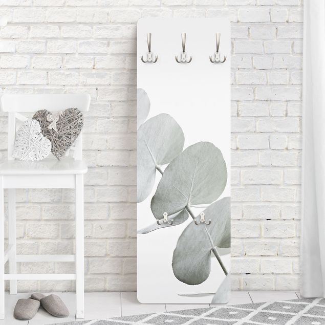 Garderobenpaneel weiß Eukalyptuszweig im Weißen Licht