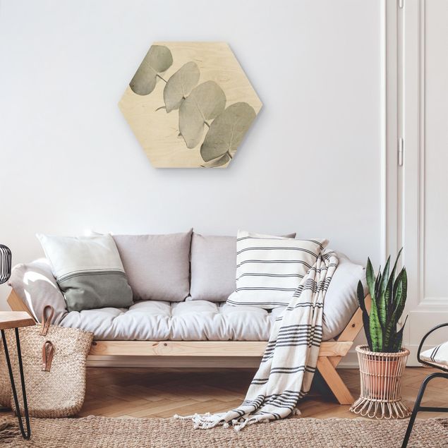 Hexagon Bild Holz - Eukalyptuszweig im Weißen Licht