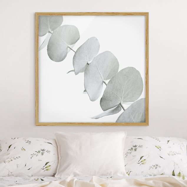 Blumen Bilder mit Rahmen Eukalyptuszweig im Weißen Licht