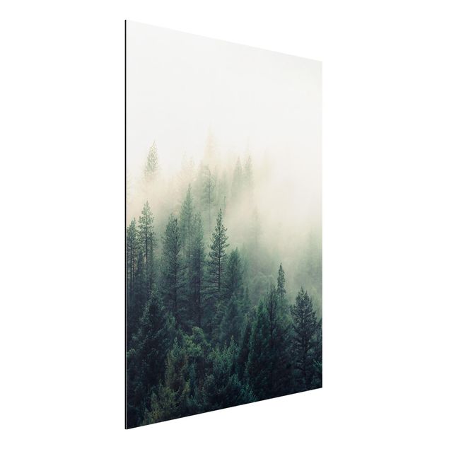 Schöne Wandbilder Wald im Nebel Erwachen