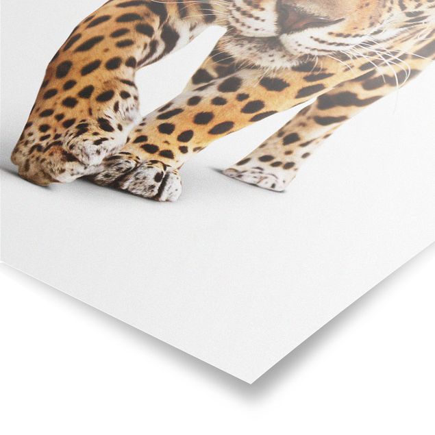 Poster - Creeping Jaguar - Hochformat 3:2