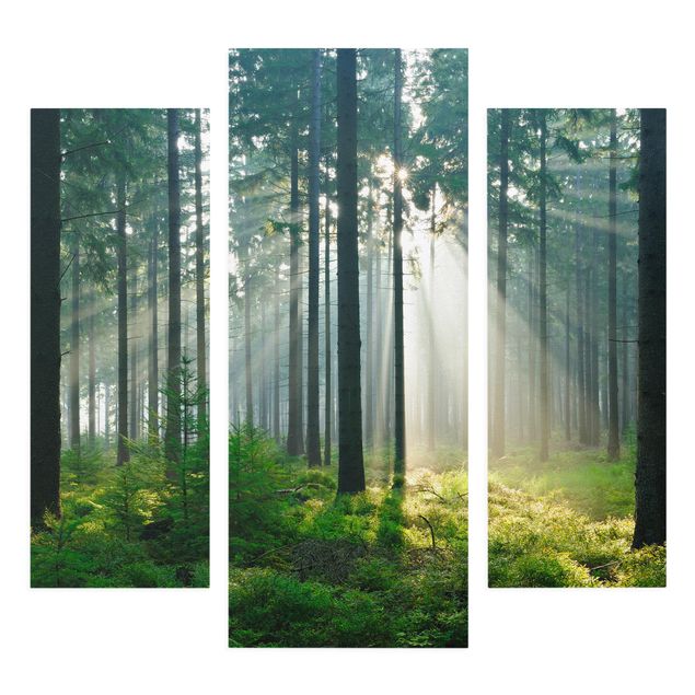 Wandbilder Enlightened Forest