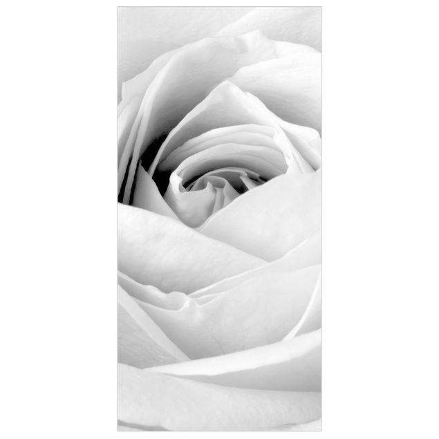 Raumteiler - Close Up Rose 250x120cm