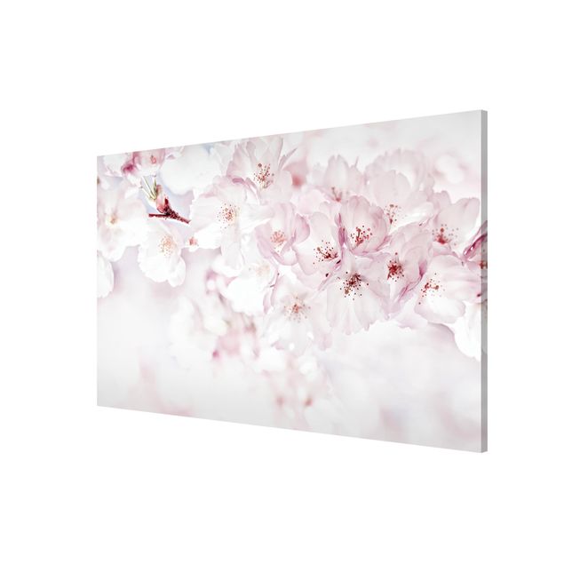 Bilder für die Wand Ein Kirschblütenhauch