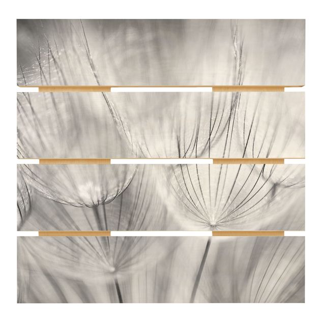 Holzbild - Pusteblumen Makroaufnahme in schwarz weiß - Quadrat 1:1