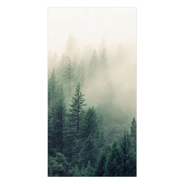 Duschrückwände Wald im Nebel Erwachen
