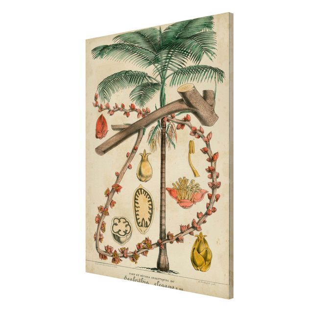 Bilder für die Wand Vintage Lehrtafel Exotische palmen II