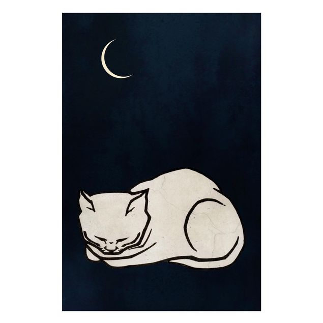 Magnettafel Büro Schlafende Katze Illustration