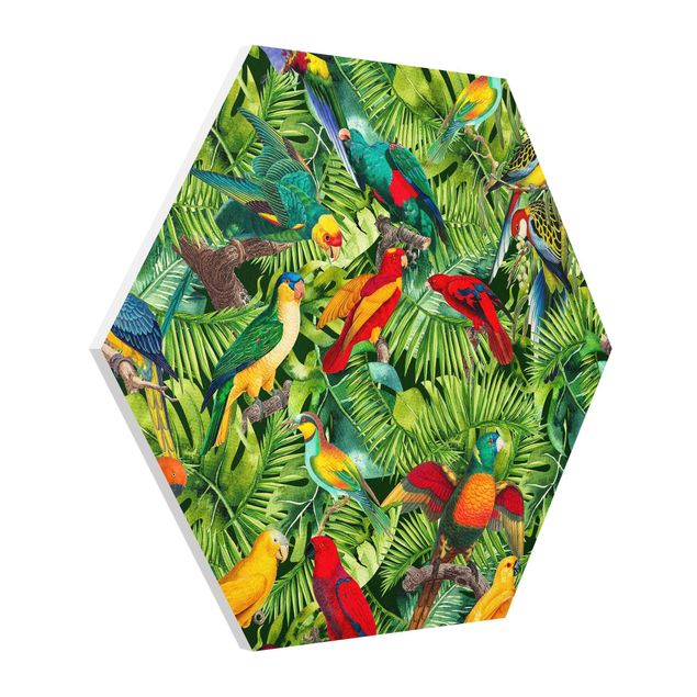 Hexagon Bilder Bunte Collage - Papageien im Dschungel