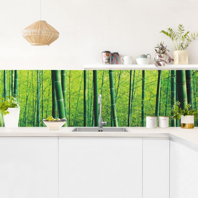 Küchenrückwand Glas Motiv Wald Bambuswald