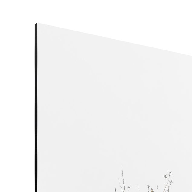 Aluminium Print - Vogelschwarm vor goldenem Baum - Quadrat 1:1