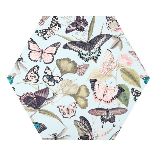 Hexagon Bild Forex - Vintage Collage - Schmetterlinge und Libellen