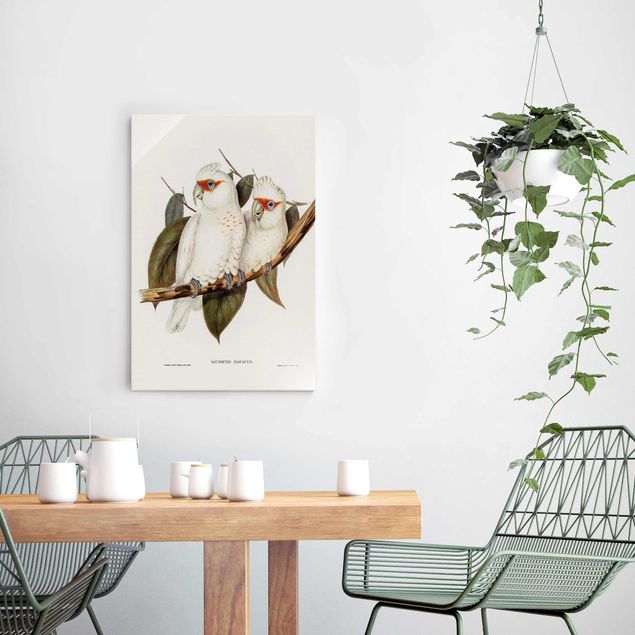 Glasbilder Blumen Vintage Illustration Weißer Kakadu