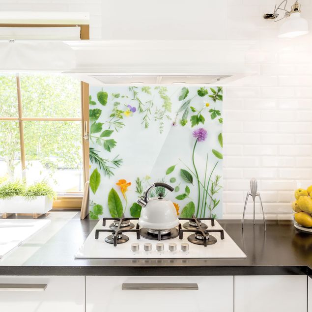 Küchenrückwand Glas Motiv Blumen Kräuter und Blüten