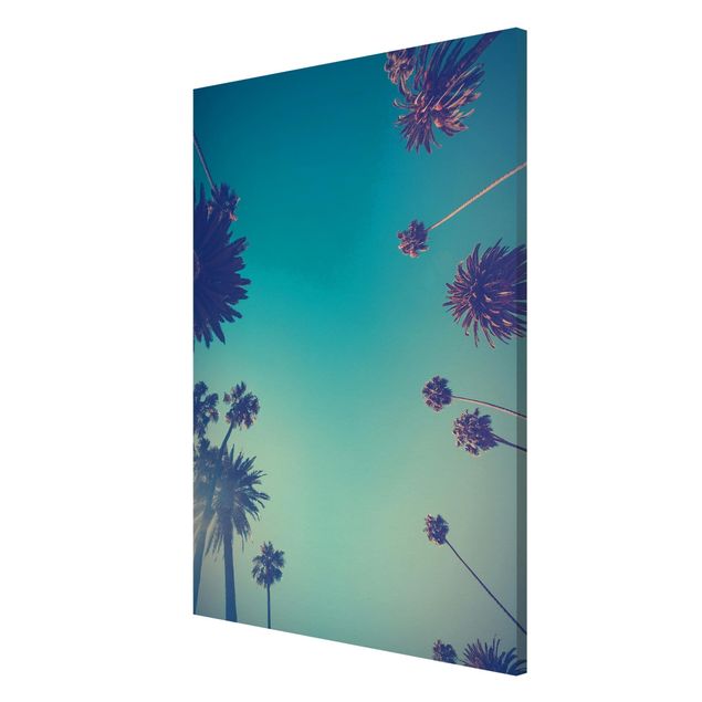 Wandbilder Tropische Pflanzen Palmen und Himmel II